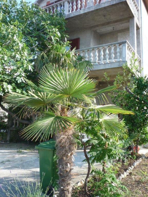 Apartments Ane Sukošan المظهر الخارجي الصورة